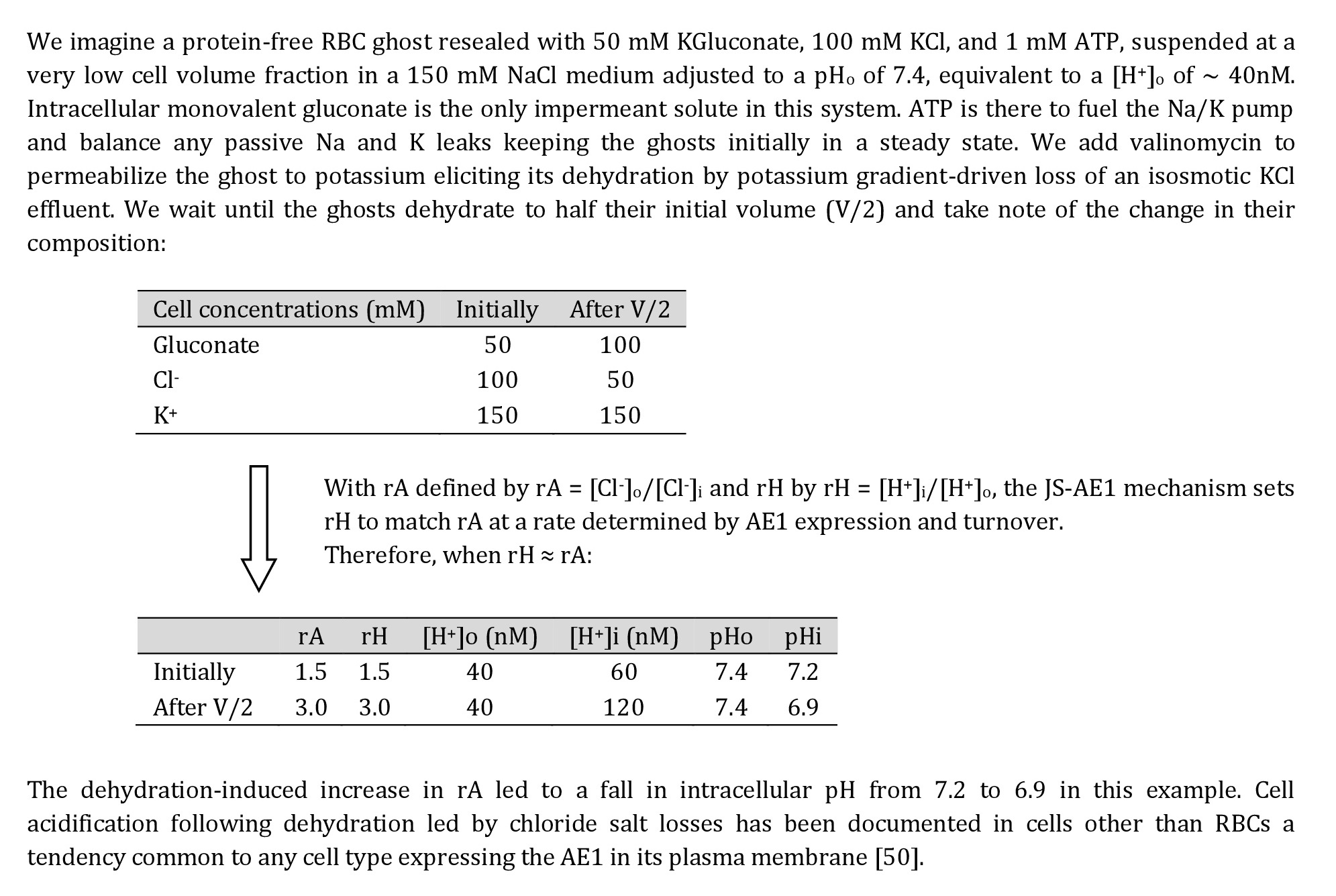 Thought experiment to illustrate the mechanism by which dehydration by KCl loss acidifies cells that express the anion exchanger (AE1) in their plasma membrane. 