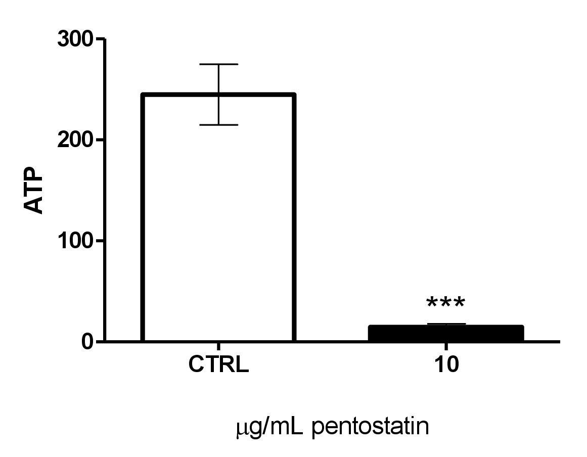 Fig. 4. Representative images and traces showing the accumulation and loss of NaFl in hypotonic 50% DMEM. The intensity was arbitrarily assigned the value of 1 at t=15 min of the accumulation phase (with extracellular NaFl, left) and t=45 s (when the first time point was recorded) of the release phase (in NaFl-free 50% DMEM, right). Scale bars in inserts, 25 µm. See text for more details.